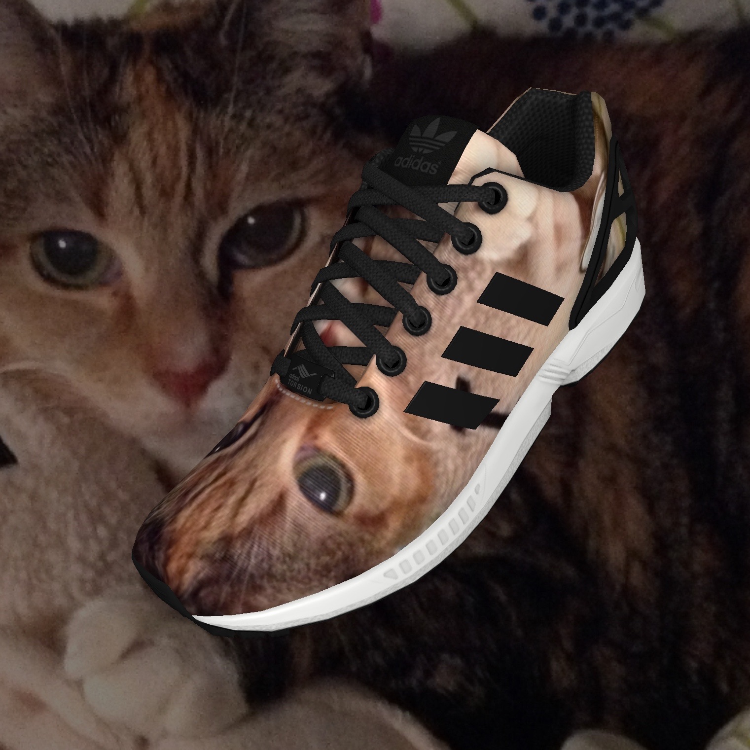 adidas cat shoes